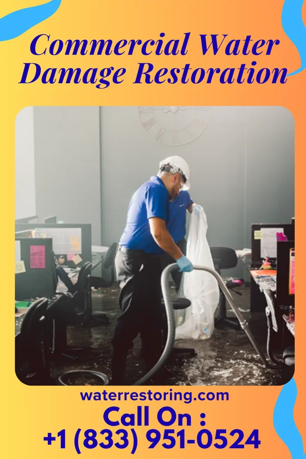 Commercial Water Damage Restoration in Carlos, MN