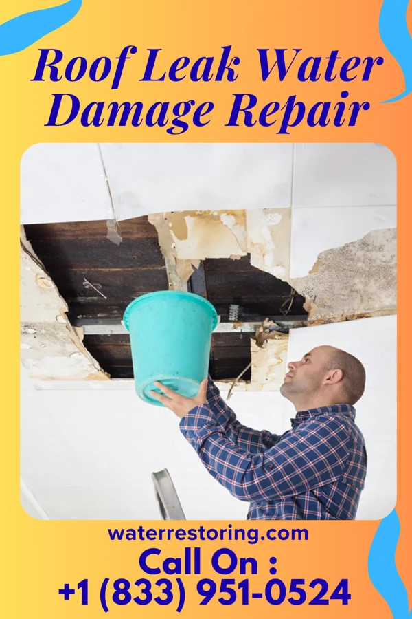 Roof Leak Water Damage Repair in Carlos, MN
