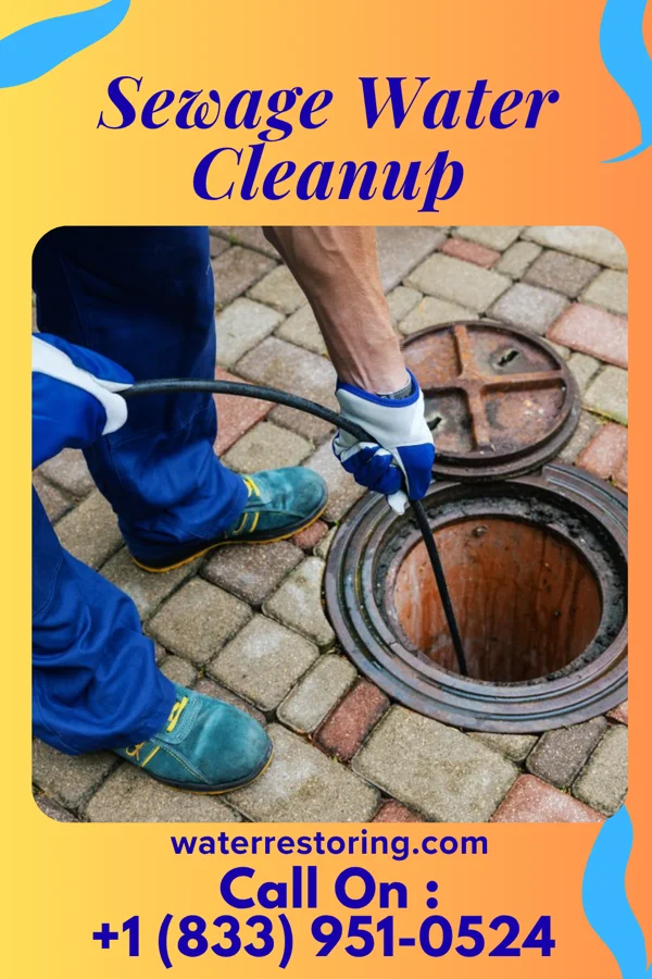 Sewage Water Cleanup in Carlos, MN